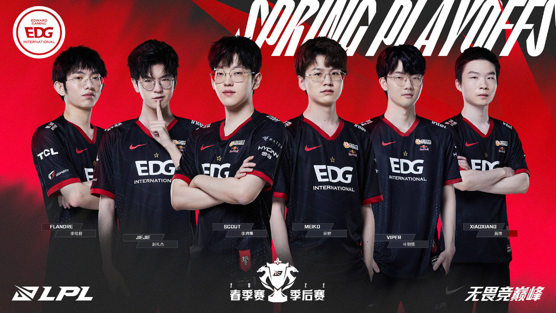 展示了如何 展示了如何