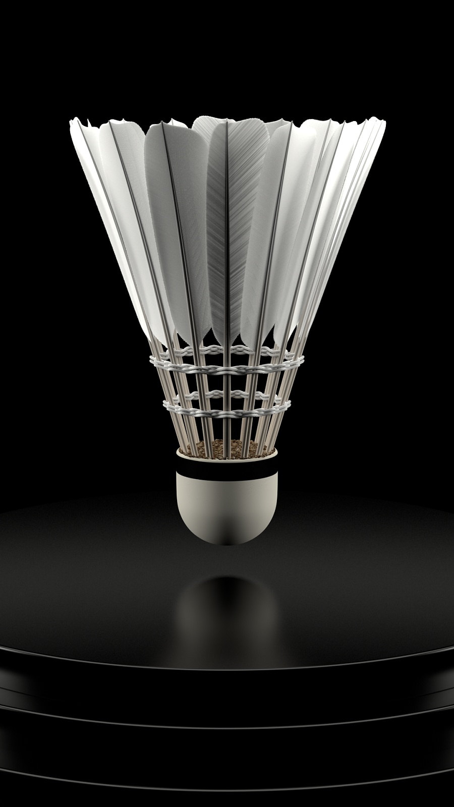 转换提供强 转换提供强